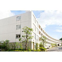 ドゥーエ新百合ヶ丘 203