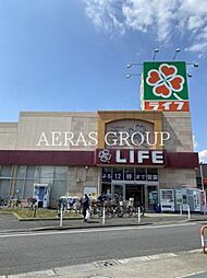 ヴェルジェ扇