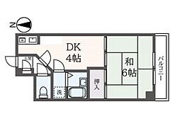 ノースランド国立 202