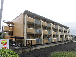 arcobaleno (アルコバレーノ)