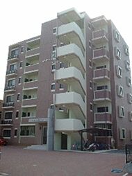 インポート久留米ルビーV 603