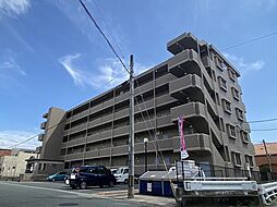 コーポラスフラワー 206