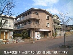 サンクオティモーネ