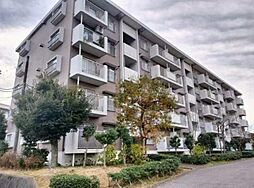 北柏ライフタウン第一団地8号棟