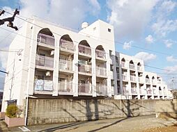 レジデンス80 302