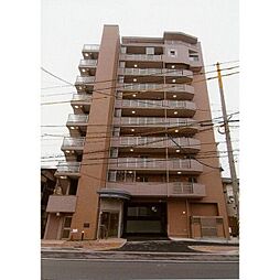 ラグ・フラットＳ 603