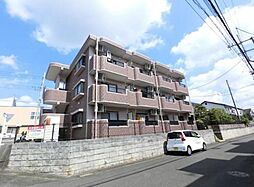 メイユールビジュ 203