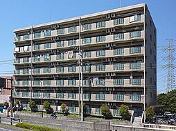 ＨＡＳＨＩＭＯＴＯ　ＧＡＲＤＥＮ　ＣＯＵＲＴ 502