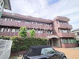 アウレア・レックス