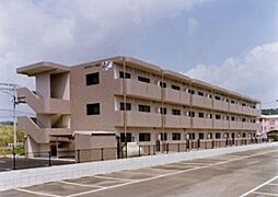 コンフォート姶良 308