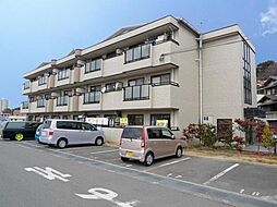 ウィスタリア藤