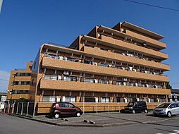 ダイアパレス沼垂四ツ角 113