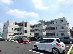 クーチャ万願寺 205