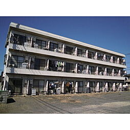 エクセレンス　ＩＲＵＭＡ