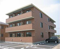 アトラススプリングス 501