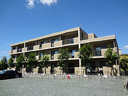 グローイングコート 101