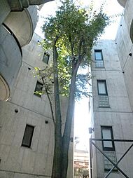 モントーレ室見 305