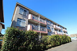 シャトレー新井 303