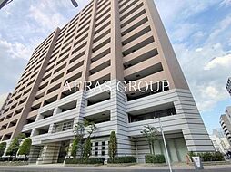 アデニウム新横浜
