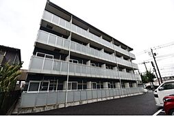 レオネクストコスモス
