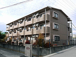 ツリーベルズ 302