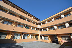 シルキー吉美 A301