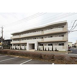 クーチャ　万願寺