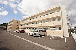 ウィステリア 107