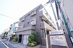 エバーグリーン 202