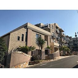 ミルキーウェイ 202