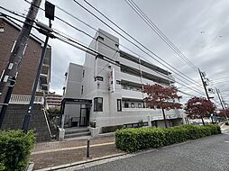 ステイヒルズ 502