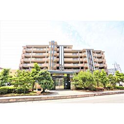 ソルベルデ五条 205