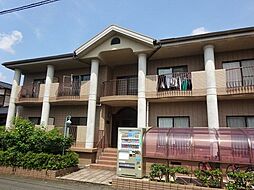 エクセランス・ド・シュレーリン 203