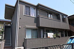 レフコペリステリ