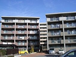 Ｔａｋａ　Ｓｕｎｒｉｓｅ 601