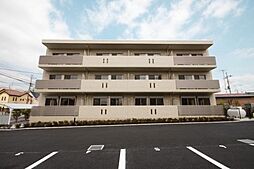 エバーグリーン