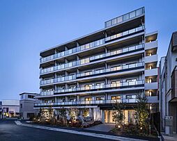 ディームス根岸