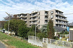八王子市大和田町７丁目