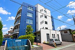 プロデフォンテ 105