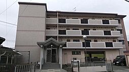 サンライズ天拝 202