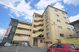 グリーンアイル