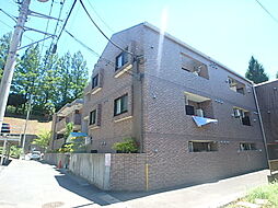 スターダスト柿生 301