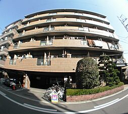 ビブレアビコ 412