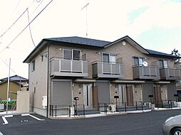 molle domus モッレ　ドムス　（角） 105