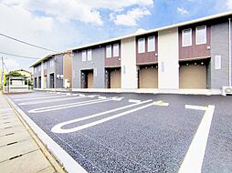 ルピナス　B 102