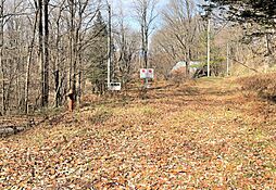 長野原町北軽井沢　売土地 1353-989