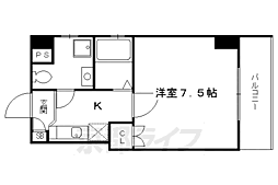 フラットコート 307