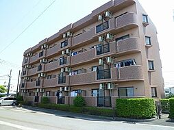 ラフィ−ナサイト2 407