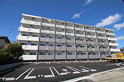 Diosa de sol（ディオサ デ ソル） 505