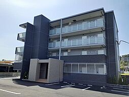 ピーノ　グランデ 101